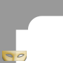 Elegant Mask